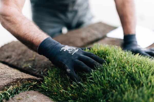 2024-04-05-galabau-mueller-8N4A6379 2024-04-05-galabau-mueller-8N4A6379