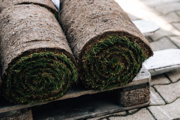 2024-04-05-galabau-mueller-8N4A6505 2024-04-05-galabau-mueller-8N4A6505