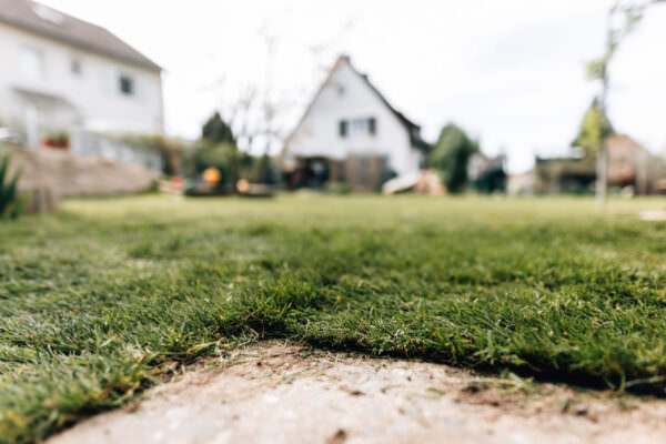 2024-04-05-galabau-mueller-8N4A6846 2024-04-05-galabau-mueller-8N4A6846