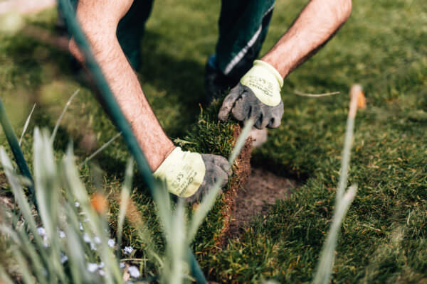 2024-04-05-galabau-mueller-8N4A6883 2024-04-05-galabau-mueller-8N4A6883