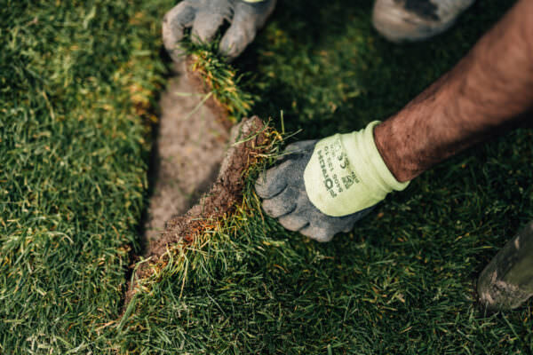 2024-04-05-galabau-mueller-8N4A6909 2024-04-05-galabau-mueller-8N4A6909